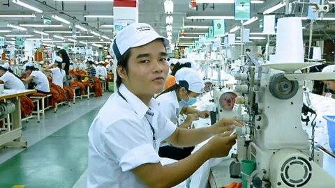 Hotspot Matrix và Cá Phổi Tây Phi: Sự Phát Triển trong Môi Trường Khắc Nghiệt_Tuyển dụng Ma trận điểm truy cập