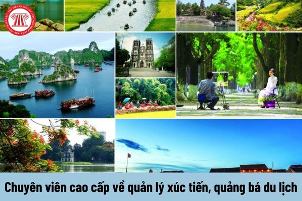 Hotspot Matrix và Cùng nhìn lại hành trình tiếp sức và truyền năng lượng tích cực khắp_dịch vụ hậu kỳ video