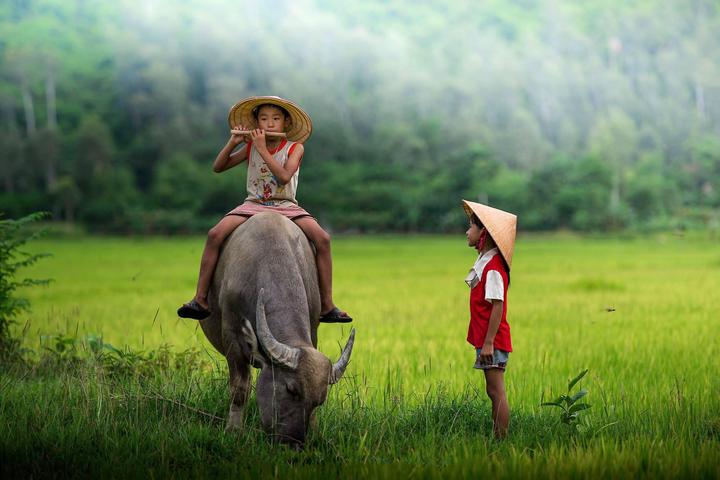 1. Tiêu đề: [Hotspot Matrix] Ngọt như mơ: Nữ sinh Quảng Bình và hành trình chinh phục