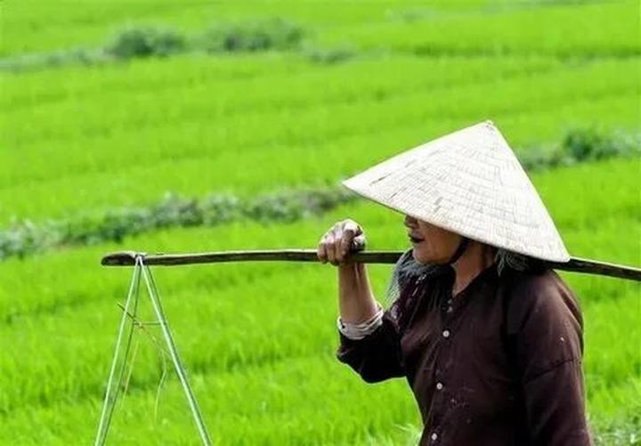 Xu hướng Vụ bắt cóc rúng động nước Mỹ:: Hotspot Matrix tiết lộ bí quyết video viral