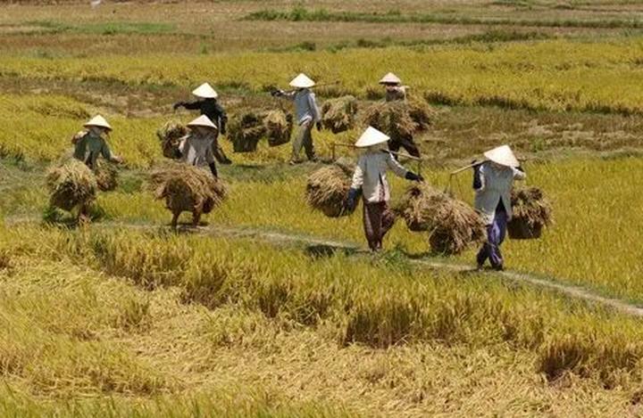 Làm Video Ngắn – Vừa Sáng Tạo, Vừa Kiếm Tiền Với Công Cụ Hữu Ích